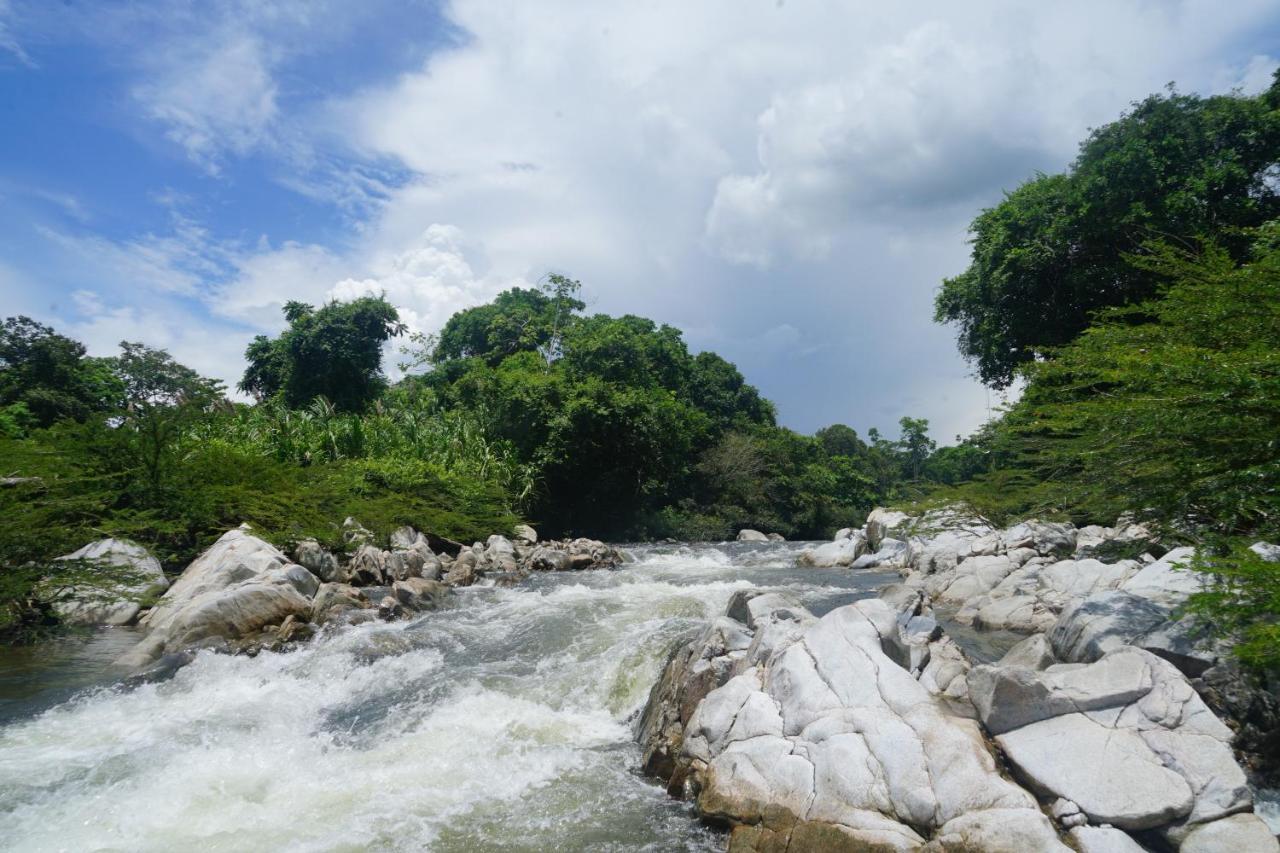 La Ponderosa Reserve Buritaca Εξωτερικό φωτογραφία