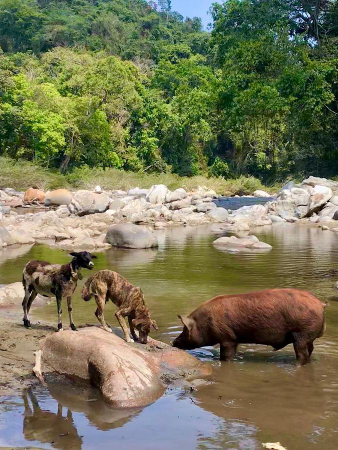 La Ponderosa Reserve Buritaca Εξωτερικό φωτογραφία