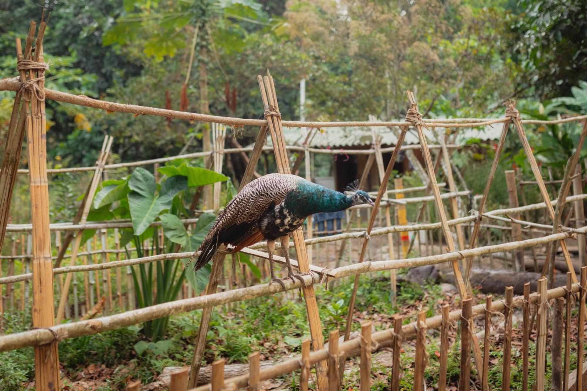 La Ponderosa Reserve Buritaca Εξωτερικό φωτογραφία