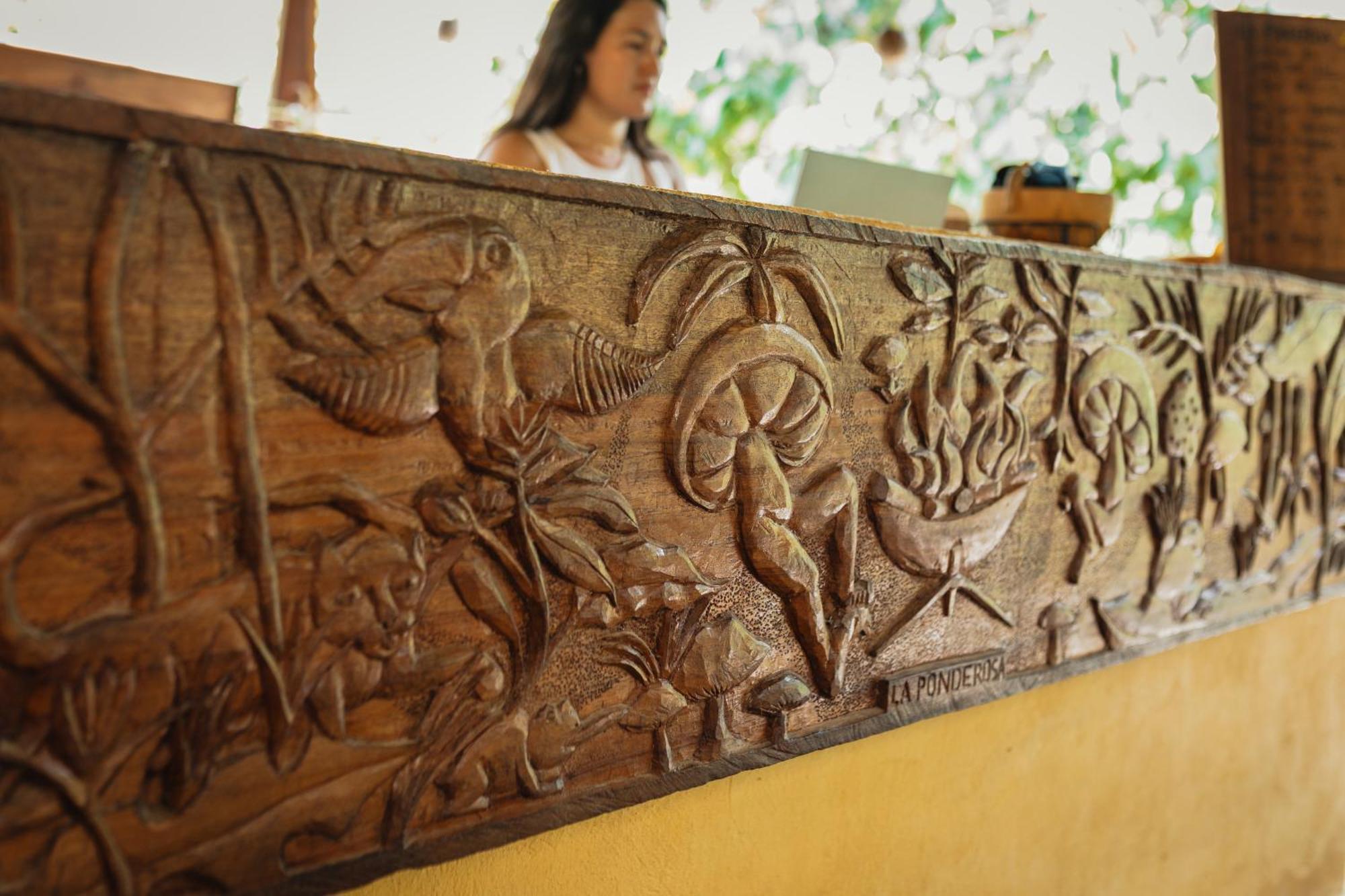 La Ponderosa Reserve Buritaca Εξωτερικό φωτογραφία
